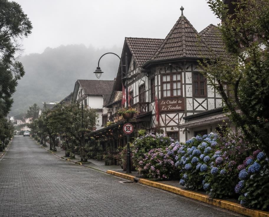 Rua charmosa de Gramado com hortênsias